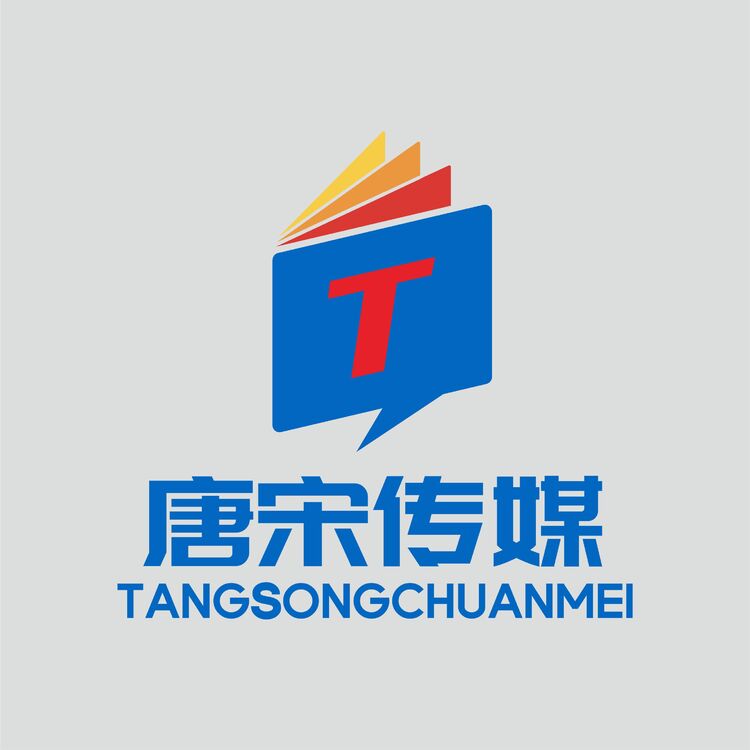 唐宋传媒logo