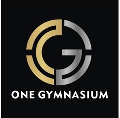 One Gymnasium