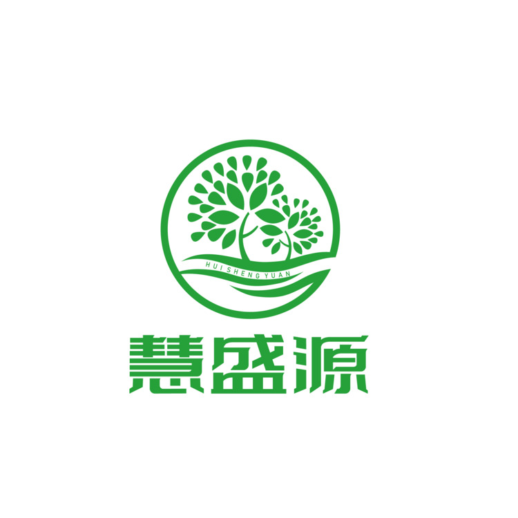 慧盛源logo