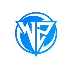 WZ棒球logo