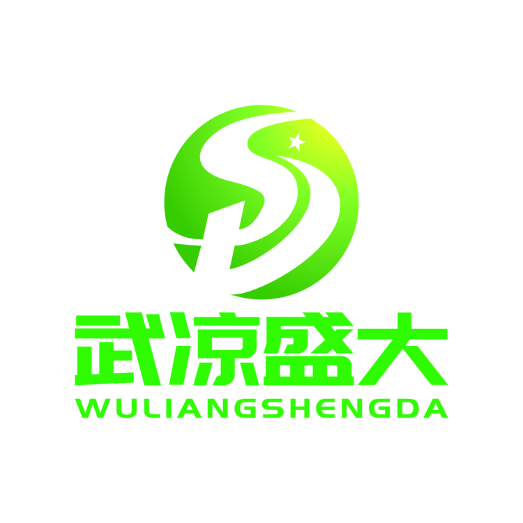 武凉盛大logo