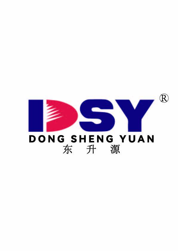 DSYlogo