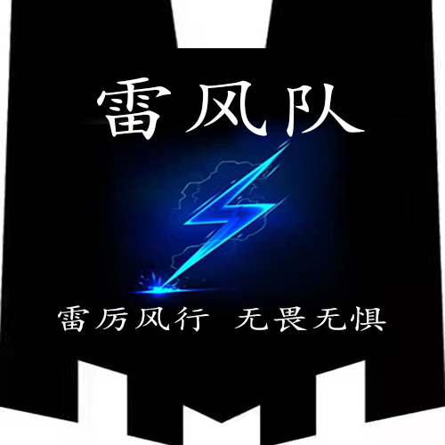 雷风队logo