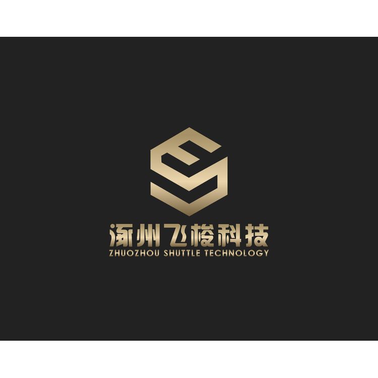 涿州飞梭科技logo