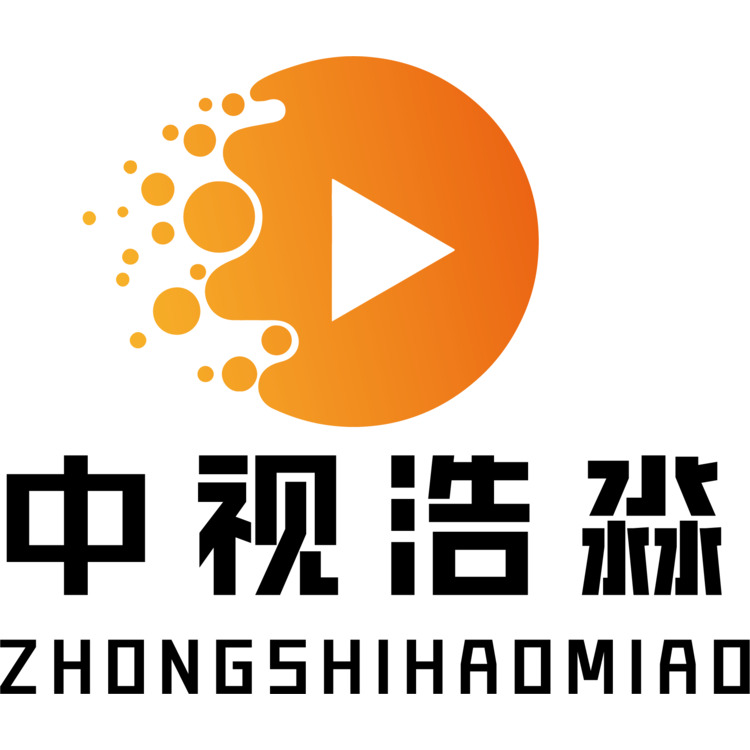 中视浩淼logo