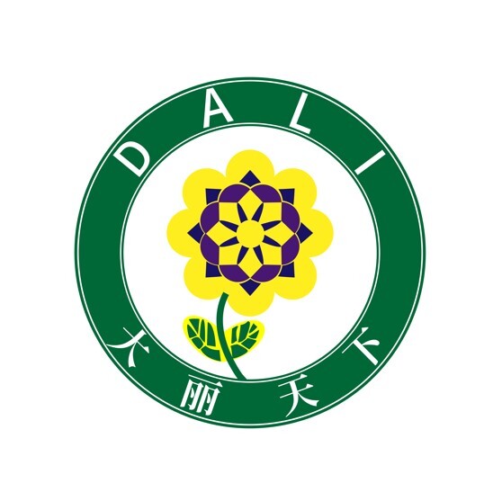 大丽天下logo