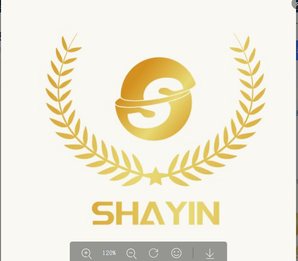 SHAYINlogo