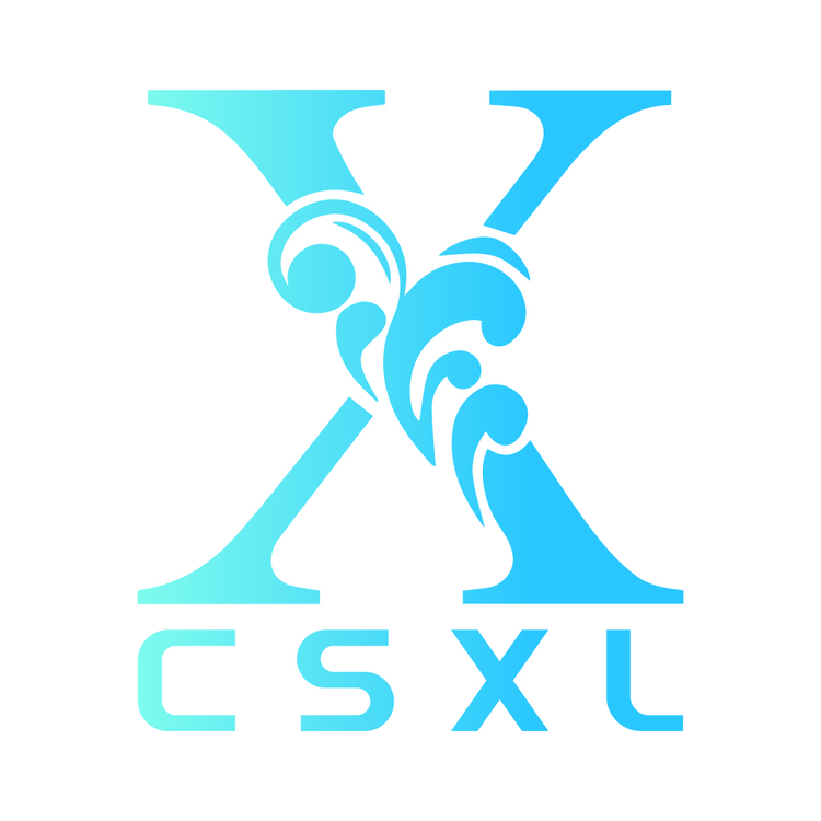 CSXLlogo